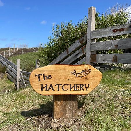The Hatchery Tolsta Chaolais Экстерьер фото